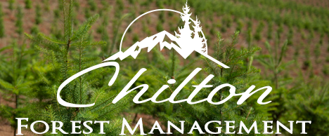Chilton Forest Management